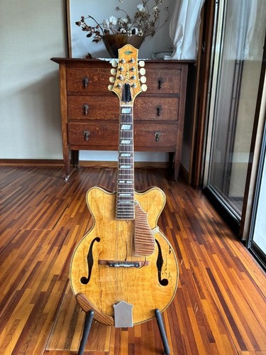 Mandolino piatto acustico