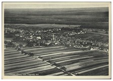 D796/ Kandel Palatinato