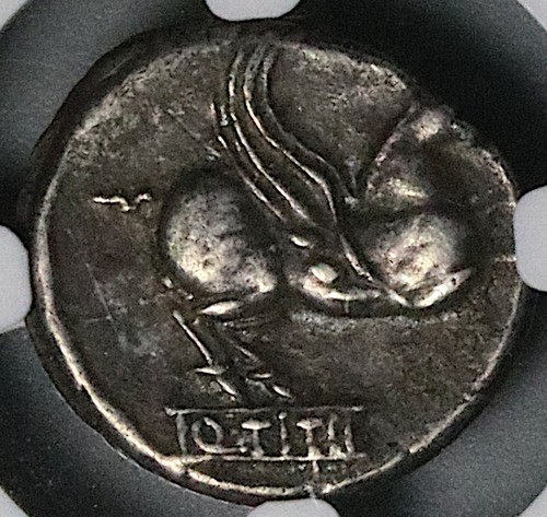 Ngc vf tizio - a.c.,