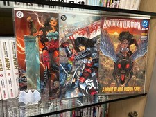 ABSOLUTE WONDER WOMAN -