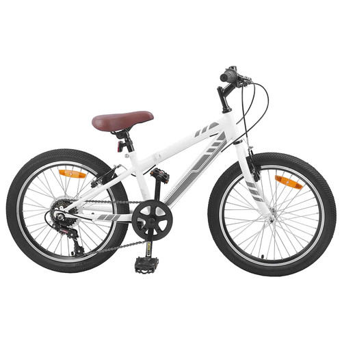 Mountain bike 6 - 24'', velocità