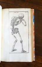 SETTECENTINA ILLUSTRATA -