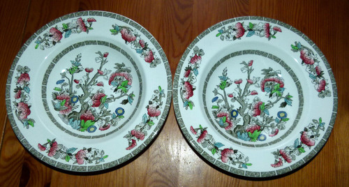 Indian tree johnson bros - indian,