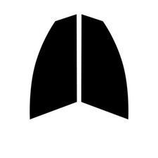 Pre Taglio Finestrino Tonalità per Renault Kangoo (Hatchback Stivale) 2007 +