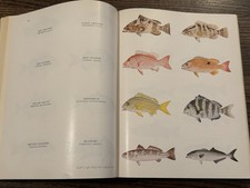 1954 THE FISHERMAN’S