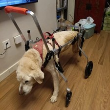 Supporto ruote per - 4, cani