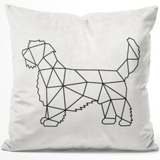 Petit Basset Griffon