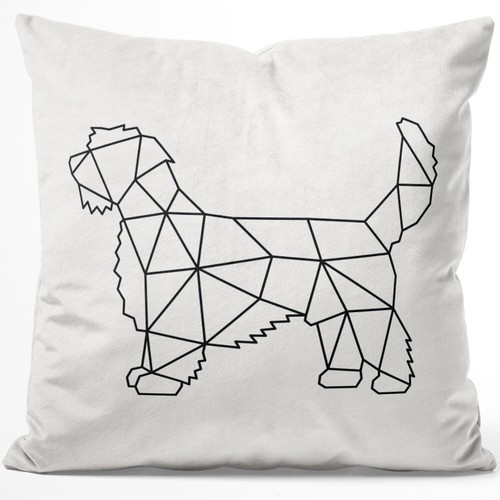 Petit basset griffon - basset,