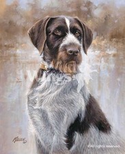 James Killen That's My Dog