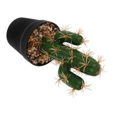  Piante Grasse Artificiali