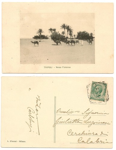 Colonie tripoli verso - (020),