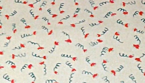 Tessuto cotone plastificato