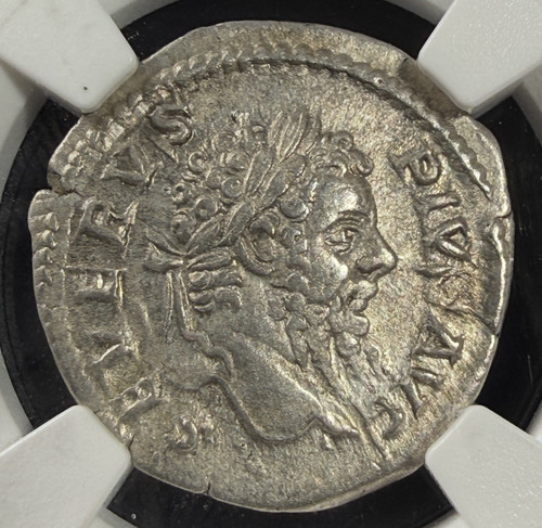 Settimio severo denario ngc - severo,