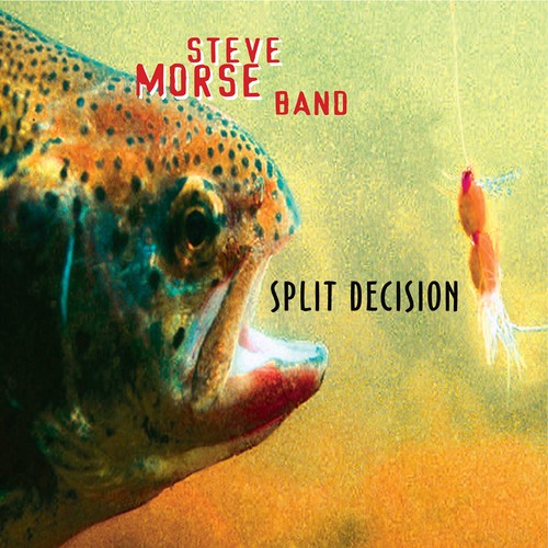 Steve morse split decision - steve,
