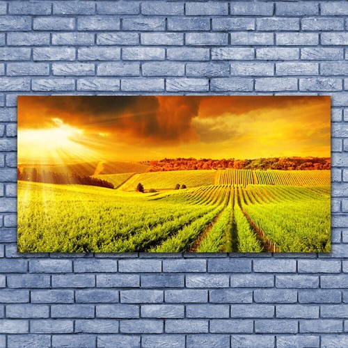140x70 stampa tela - 140x70, su