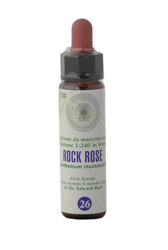 Rock rose 26 princeps - rose,