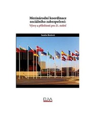 Mezinárodní koordinace