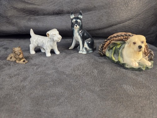 Lotto statuine cane - , vintage