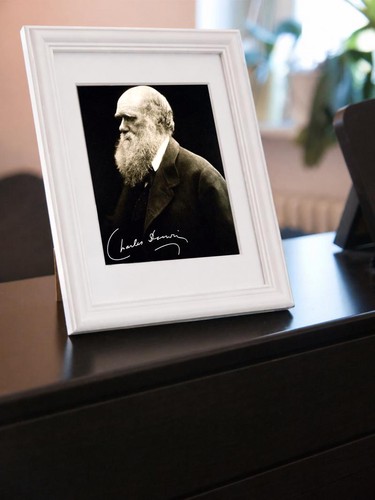 Autografo repro charles - repro,