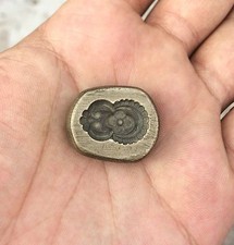 Vintage Bella Fiore Design