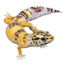 Bandai Gashapon Leopard Gecko