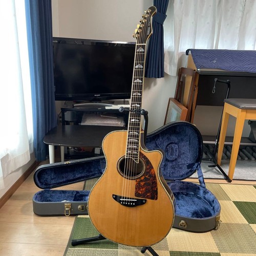 Chitarra elettrica acustica