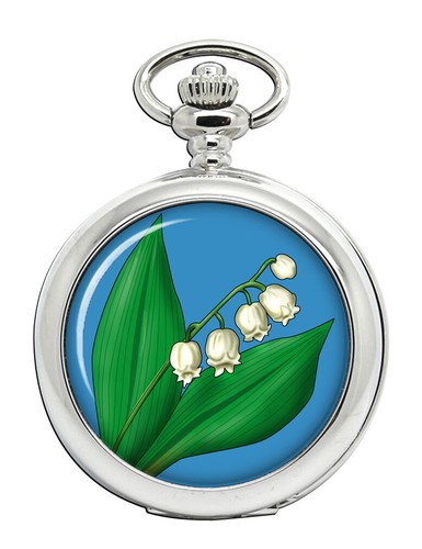 Orologio tasca full - orologio, hunter