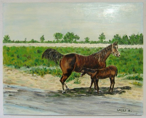 026 quadro dipinto - 026,