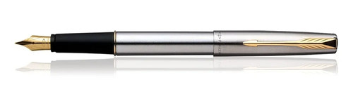 Penna stilografica parker - stilografica,