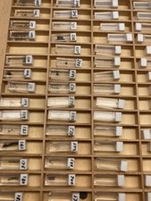 Parti movimento Bulova