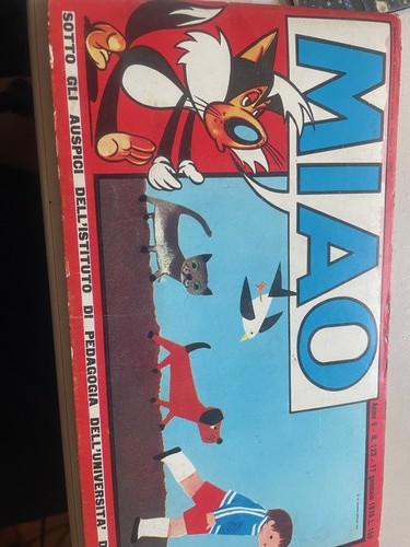 Miao anno 123 - miao, 6