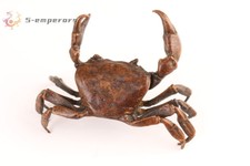 fortuna cinese bronzo granchio