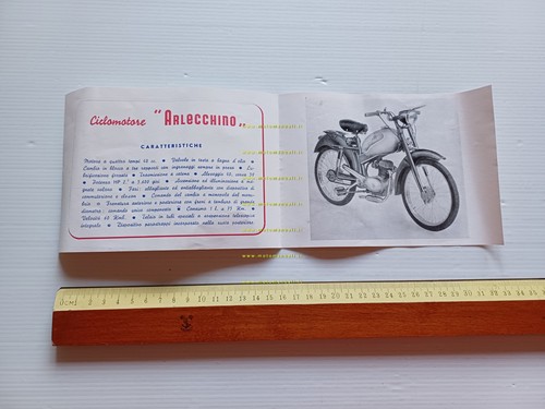Chiorda arlecchino 4t - 50,