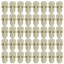 Teschi scheletrici realistici