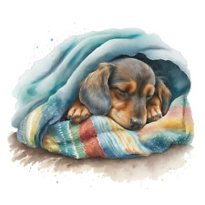 6 adesivi per auto bassotto 9 bassotti adesivi per auto 9 x 9 cm adesivi per ...