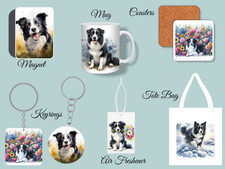 Border Collie regali