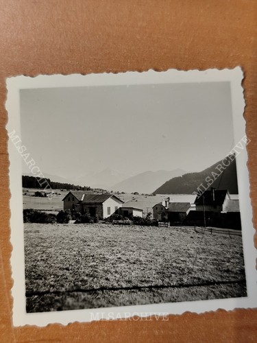 Foto ortler ortles - foto,