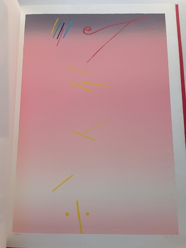 Valentino vago serigrafia - , 1990