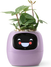 Vaso Da Fiori Intelligente Con Display LCD - Fioriera Decorativa per Casa, Compa