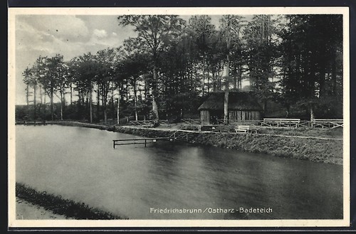 Cartolina friedrichsbrunn - cartolina, /