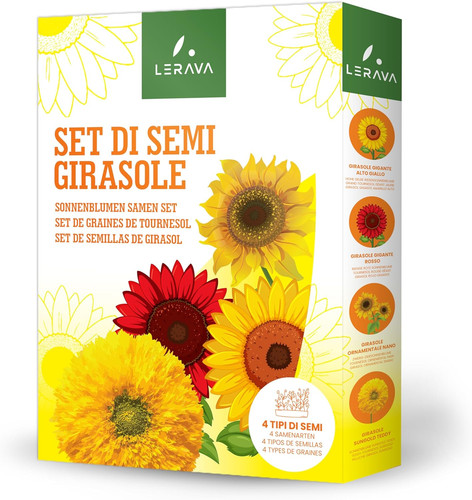 Semi girasoli - (4, varietà)