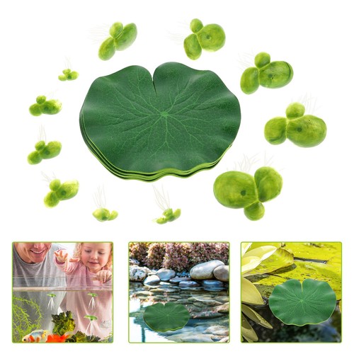 Acqua piante galleggianti - acqua,