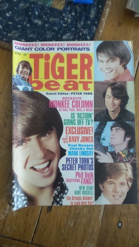 Tiger beat teen magazine - tiger,