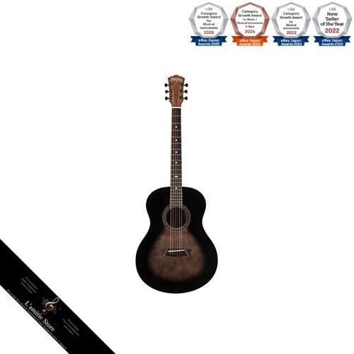 Chitarra acustica washburn - chitarra,