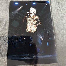 FLORENT PAGNY -  PHOTO DE PRESSE ORIGINALE 17x26cm