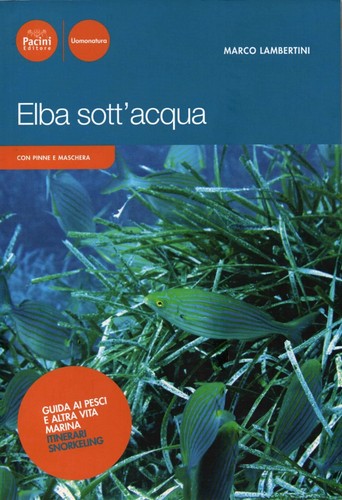 Isola elba sott acqua con - isola,