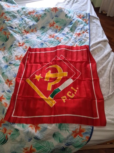 Bandiera partito comunista - partito,