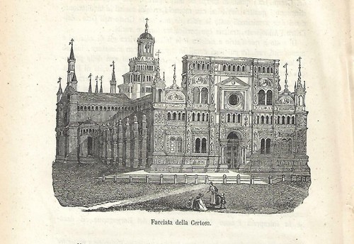 Stampa antica pavia veduta - stampa,