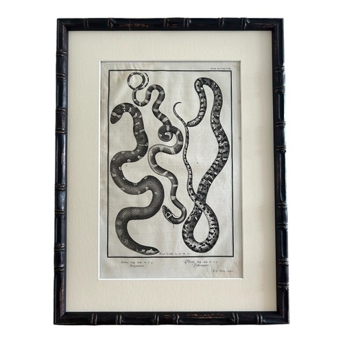 Antico 1802 serpenti ar70 - 1802,