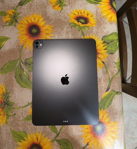 Ipad pro 256gb - pro,